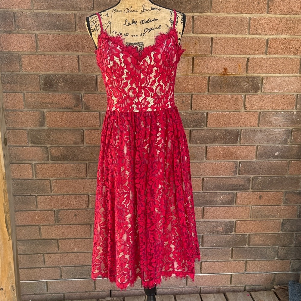 Eliza J Vibrant Red Lace Overlay Midi Dress size 8